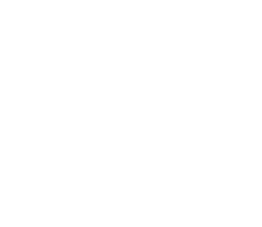 Prime Home Health Services
